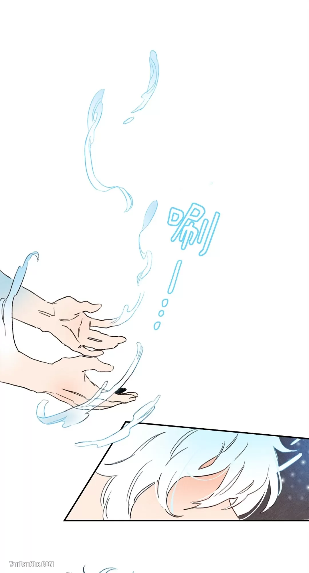 理斯·贝努斯