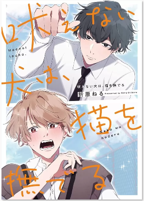无声的狗抚摸猫
