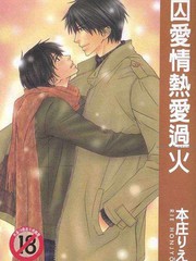 囚爱情热爱过火