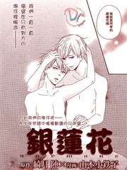 银莲花
