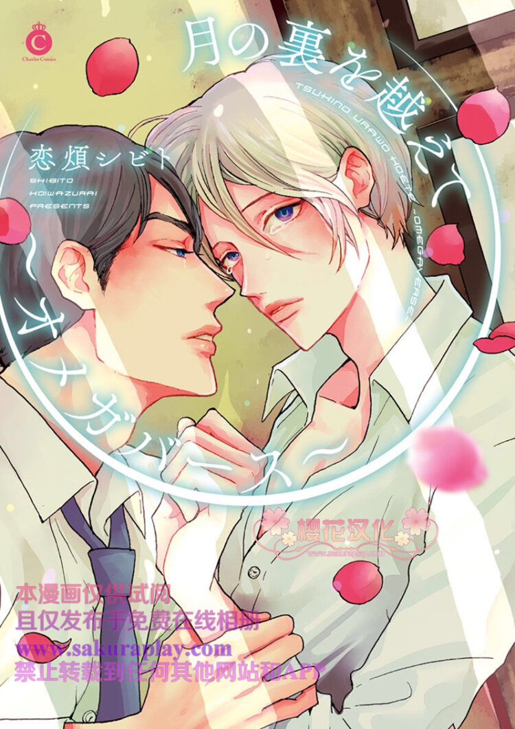 飞过月亮的背面~ABO~