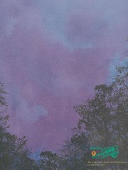 天狗的言灵