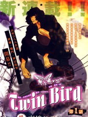 Twin Bird