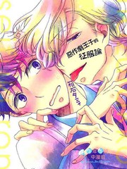 恶作剧王子的征服论