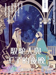 驭驼人与王子的夜晚