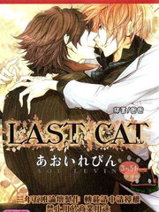 LAST CAT