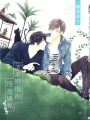 温柔恋情的培育过程