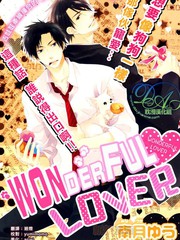 wonderful lover