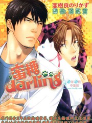 蜜糖Darling