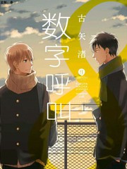数字调用