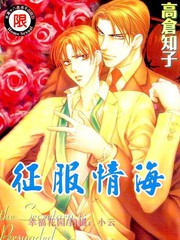 征服情海