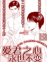 爱君之心永世不变