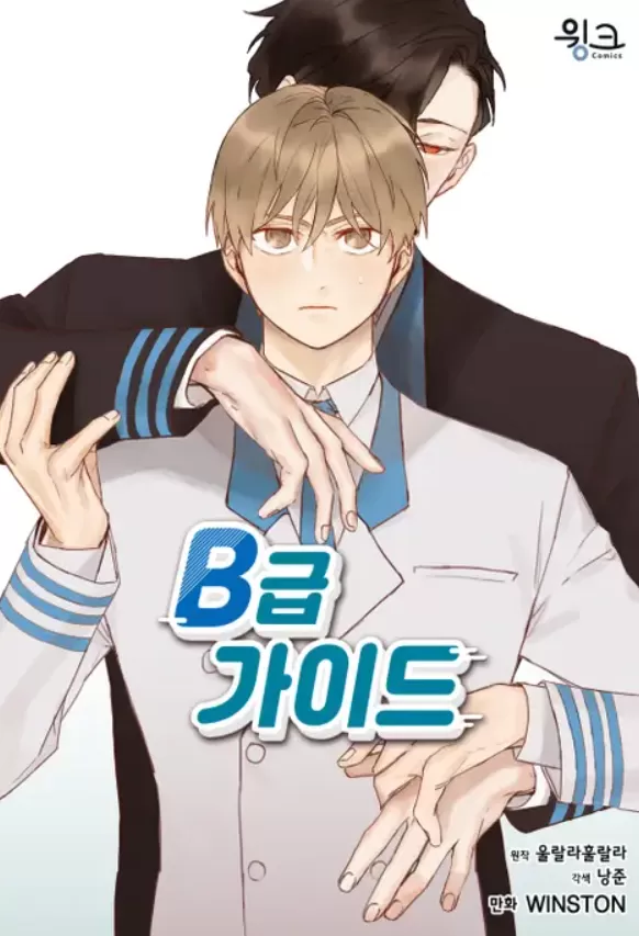 B级向导/ B级指南
