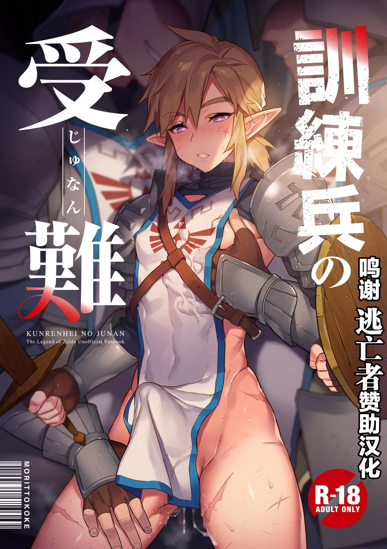 训练兵の受难 (ゼルダの伝説)